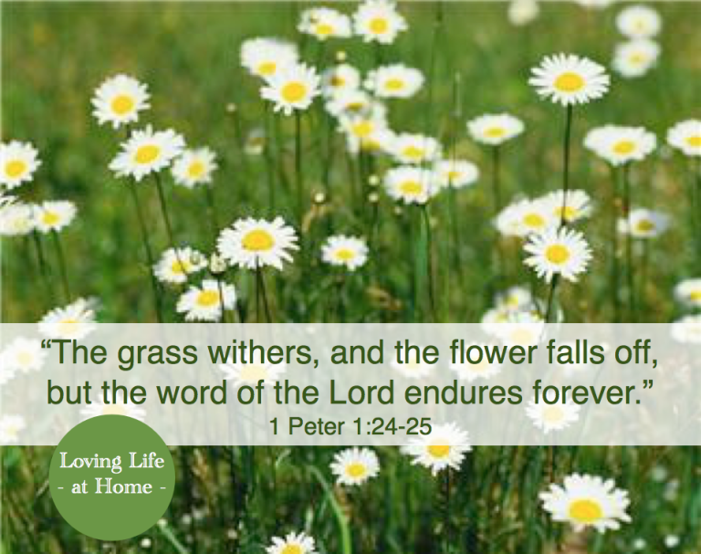 "The grass withers, and the flower falls off, but the word of the Lord endures forever." - 1 Peter 1:24-25