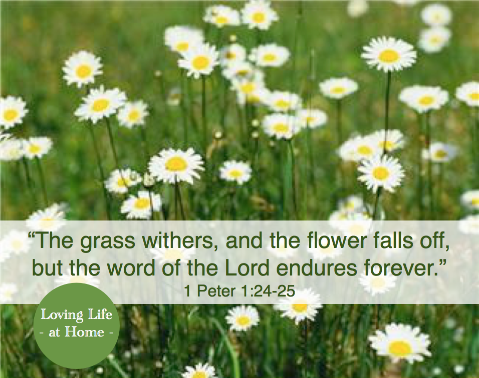 The Flowering Grass