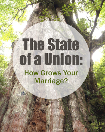 How grows your marriage? The  State of a Union