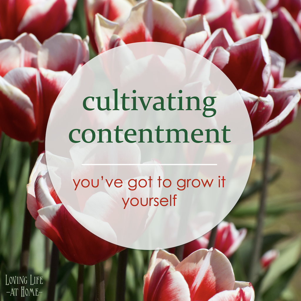 Cultivating Contentment (w/free printables)