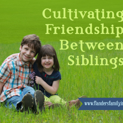 Helping Siblings become Friends