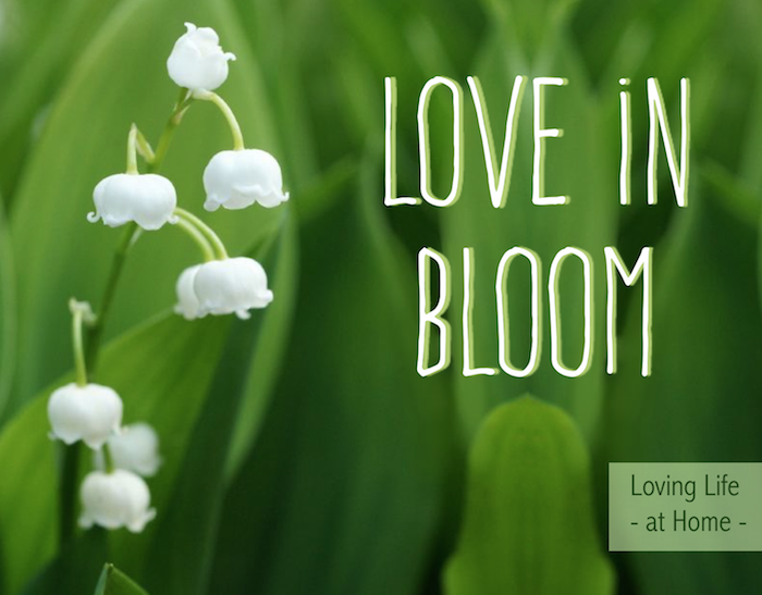 Love in Bloom - Are you willing to put in the work to really make your marriage blossom?