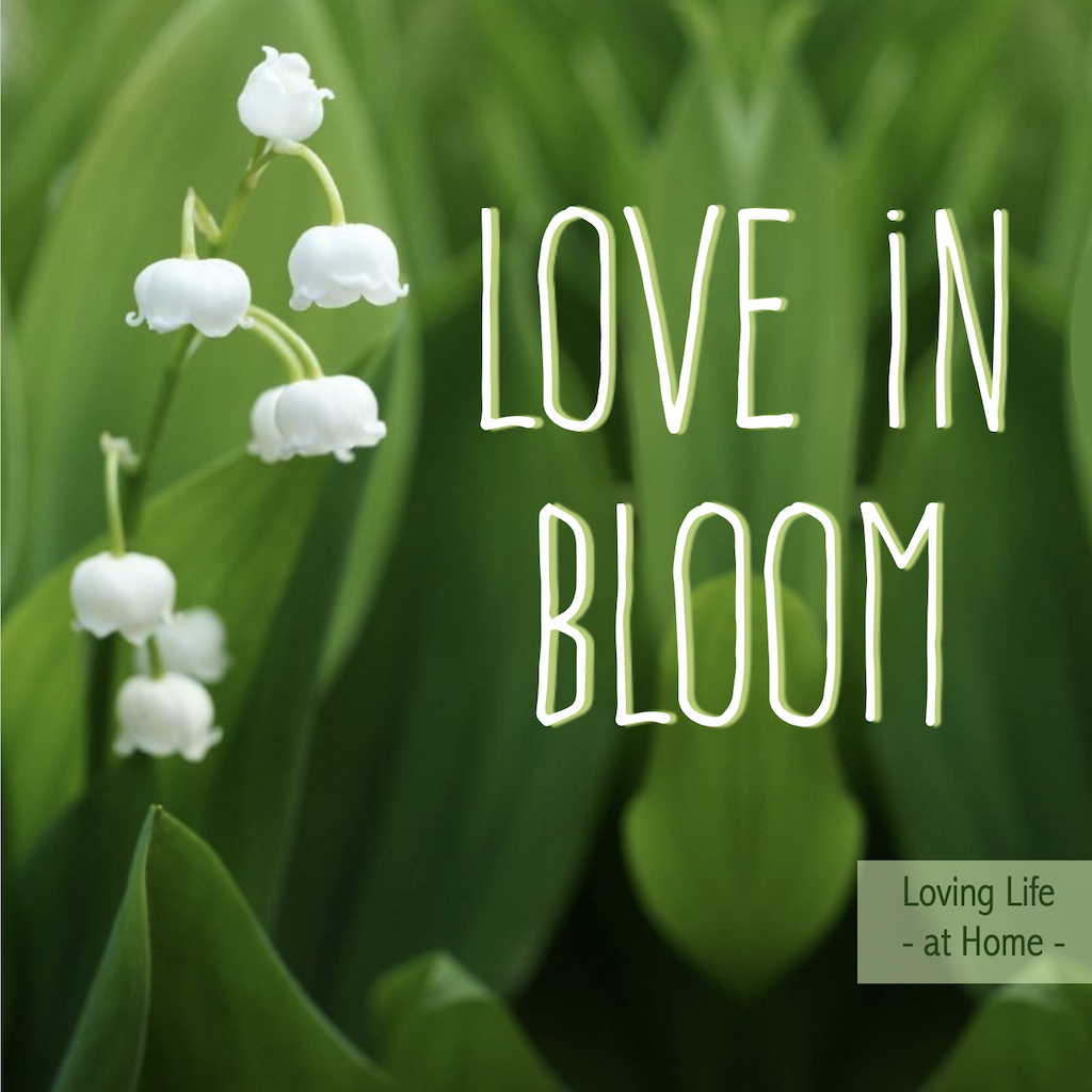 Love in Bloom: 5 Essentials for a Thriving Marriage