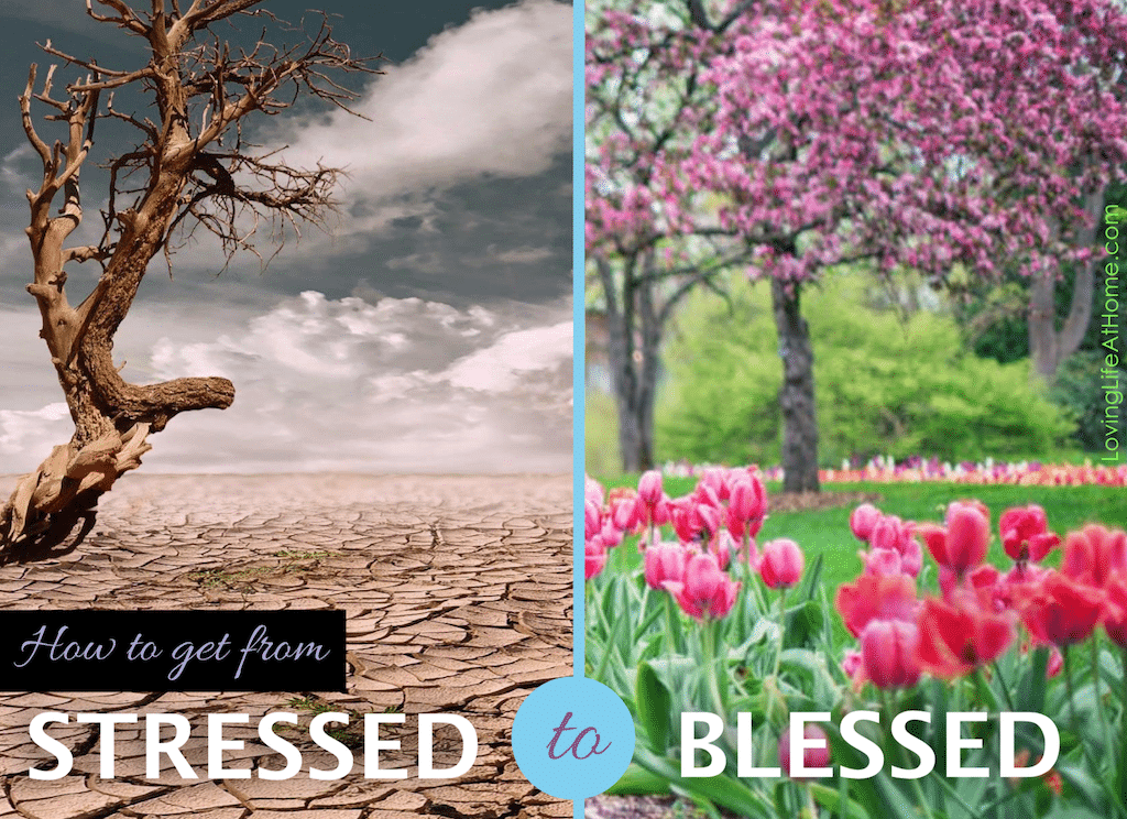 How to get from stressed to blessed | lovinglifeathome.com