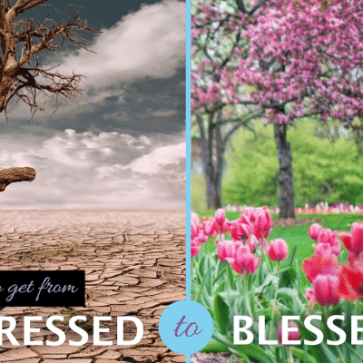 How to Get from Stressed to Blessed
