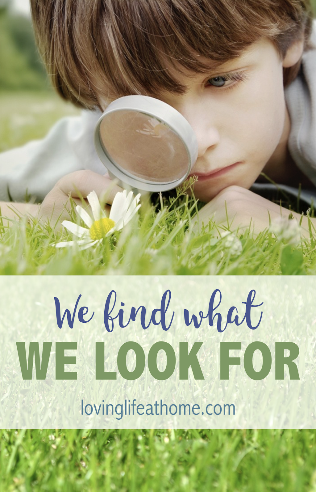 We Find What We Look For 