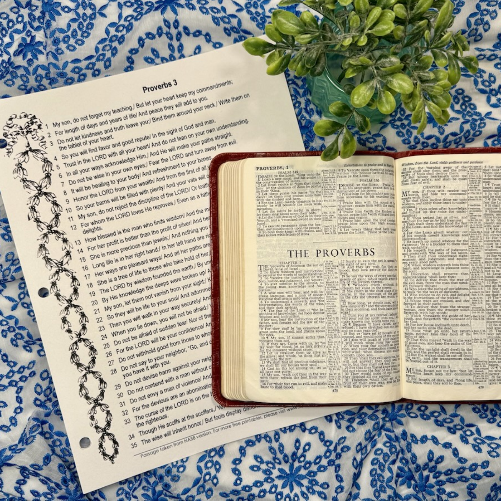 Memorize Proverbs 3 with Me